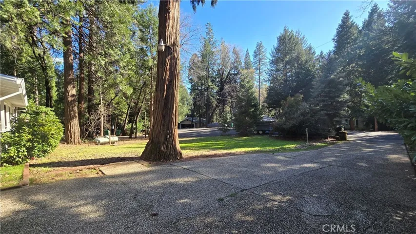 Another Front Yard View