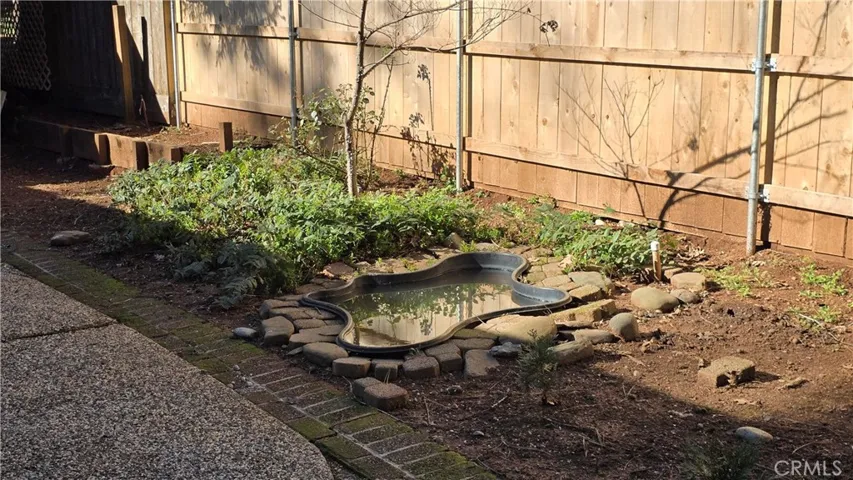 Small Pond in backyard