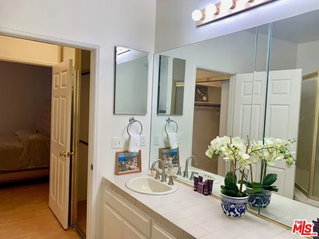 Master bathroom and closets