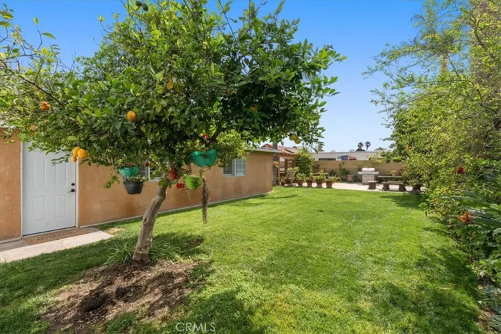 Backyard with Fruit Trees