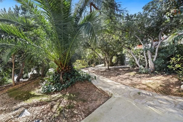 Backyard walk area