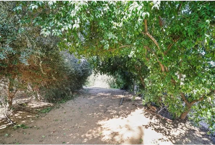 Balk yard covered area