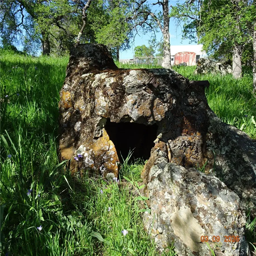 Old stone oven/BBQ