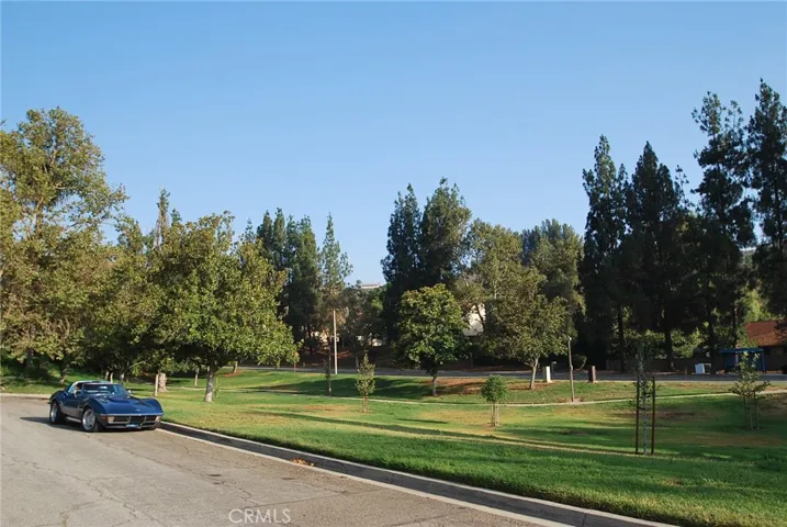 Greenbelt for exercise and dog walking.