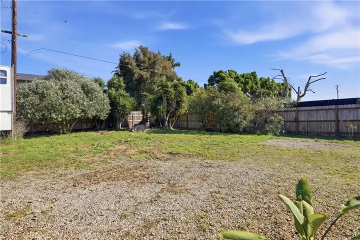 Backyard- original