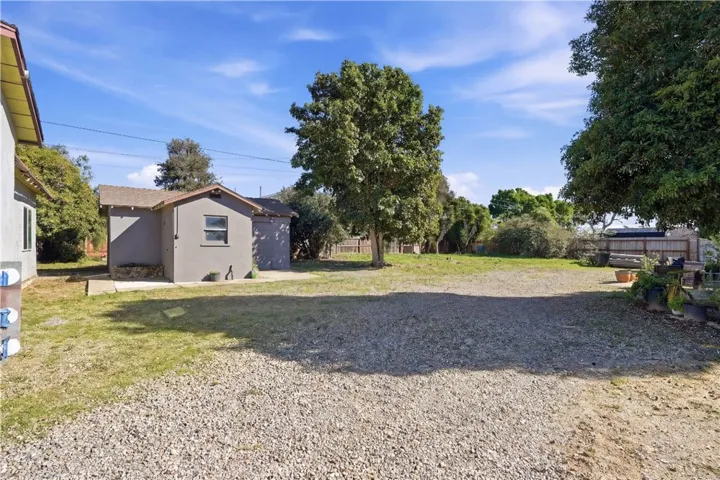 Backyard- original