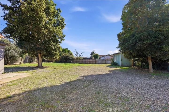 Backyard- original