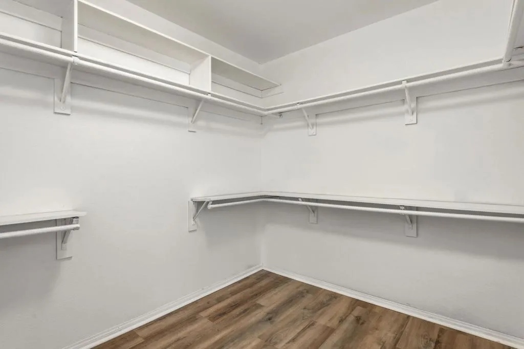 31-web-or-mls-31