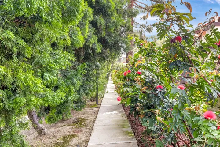 Walking Path