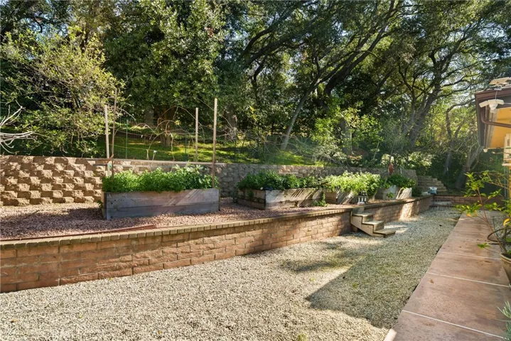 Vegetable garden