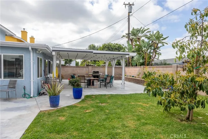 Avocado tree, patio, flowerbed, yard