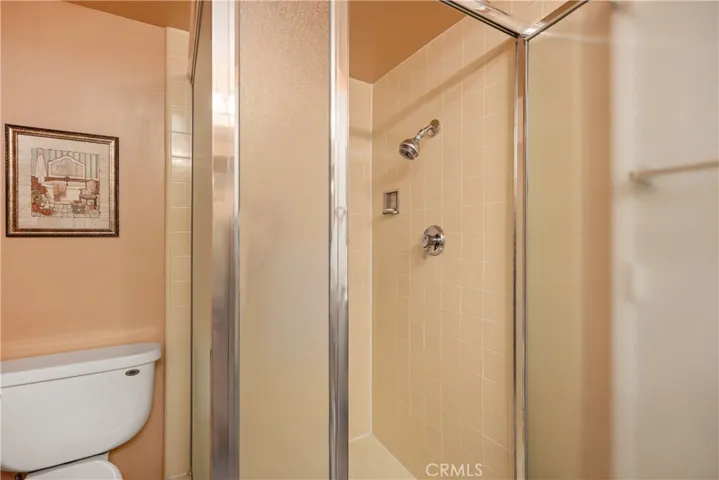 Hall Bathroom Walk-in Shower