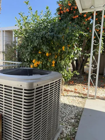 ac fruit trees 557