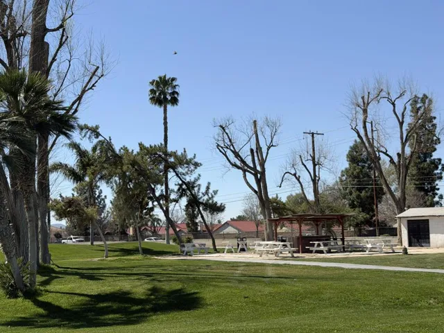 Picnic Area