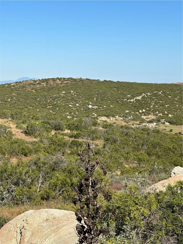 View of parcel.