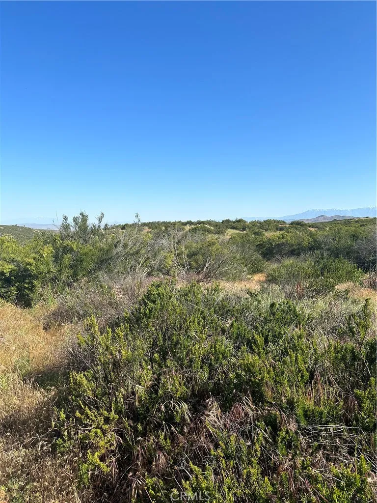 View of parcel.