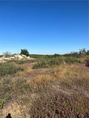 View of parcel.