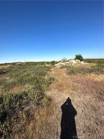 View of parcel.