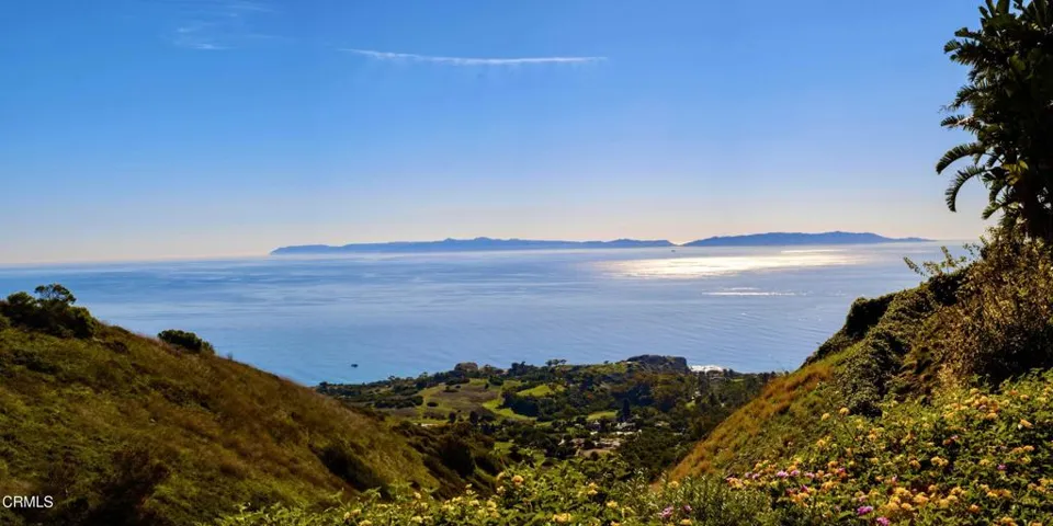 59-print-8 Burrell Ln by Pierre Galant-9