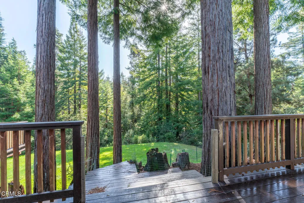 View from Deck