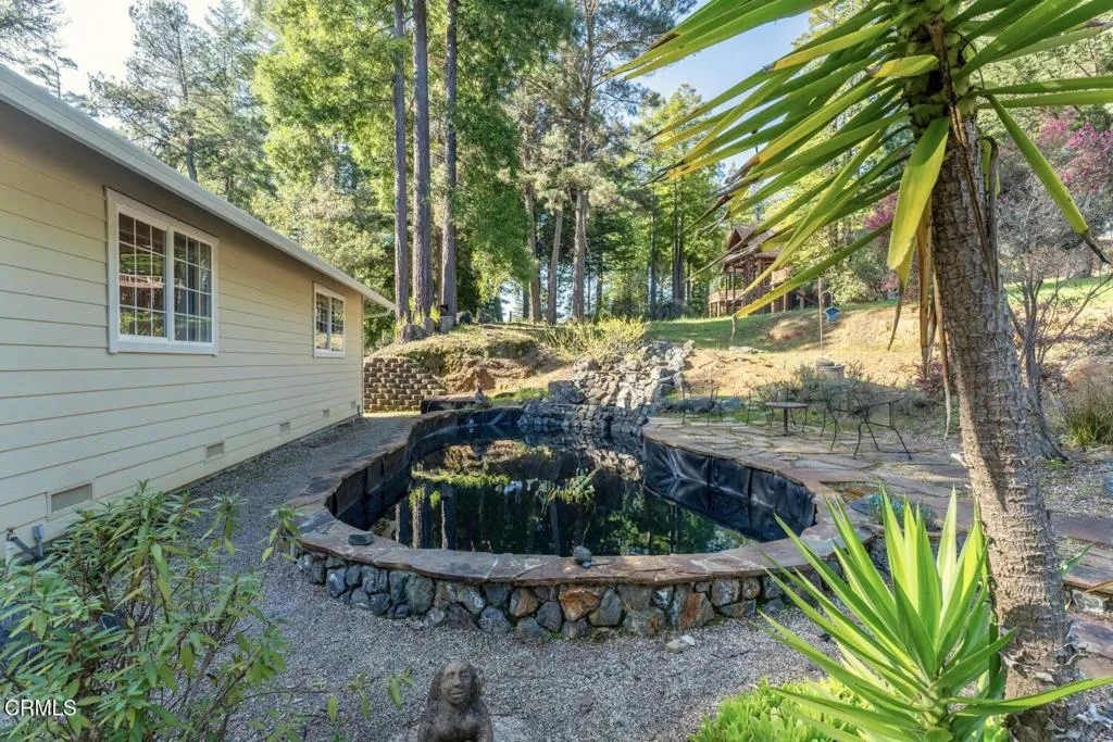 Waterfall Pond