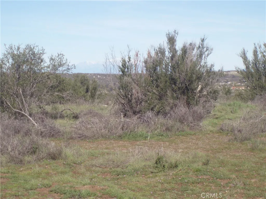 View of parcel off Linderman Road.