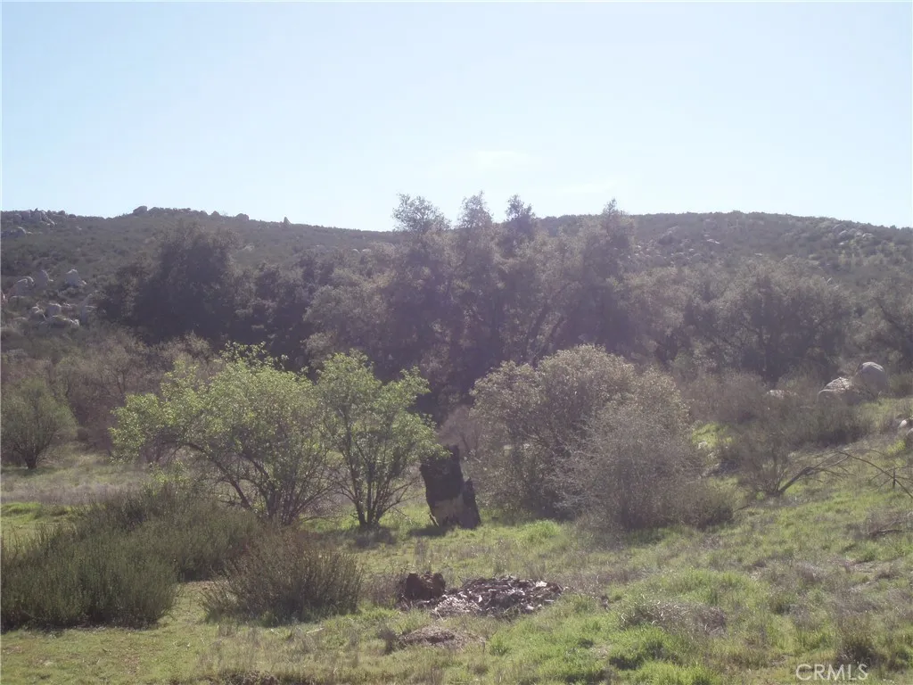 View of parcel.