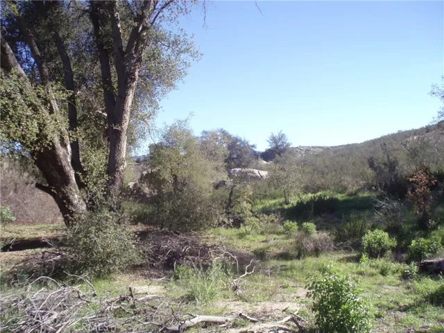 View of parcel.