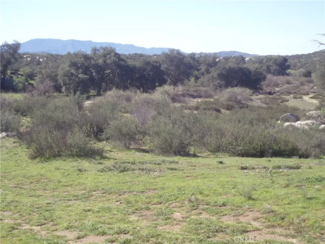 View of parcel off Willow Canyon Road.