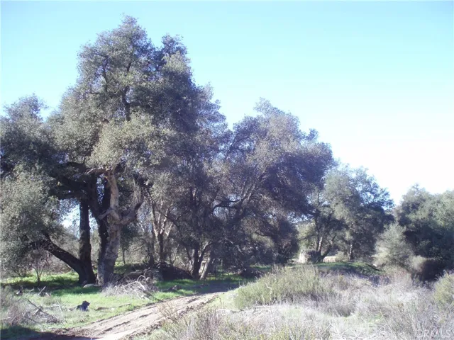 View of parcel.