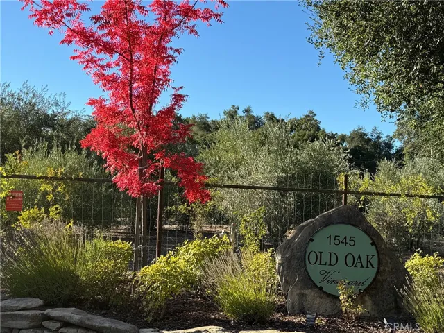 Old Oak organic vineyard in the Williamson Act located on the prestigious Willow Creek road.