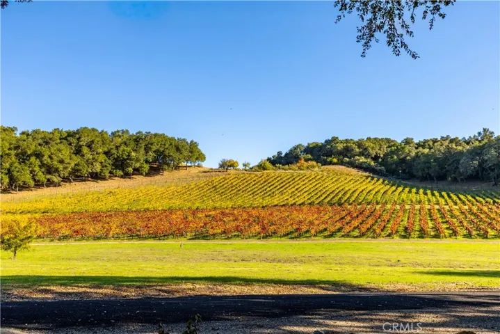 Sunlit vineyard views enjoyed directly from the front of the home, creating a beautiful connection to the surrounding landscape.