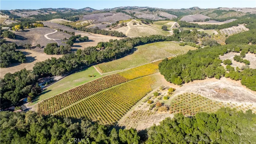 Spectacular rolling hills.