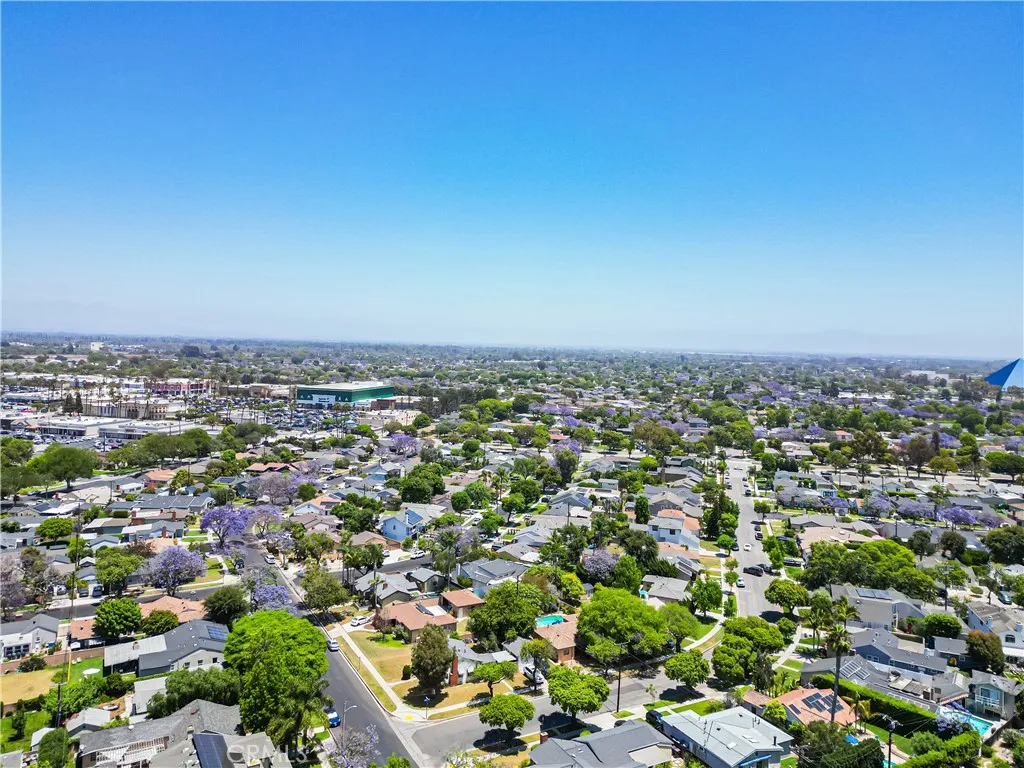 Drone Picture