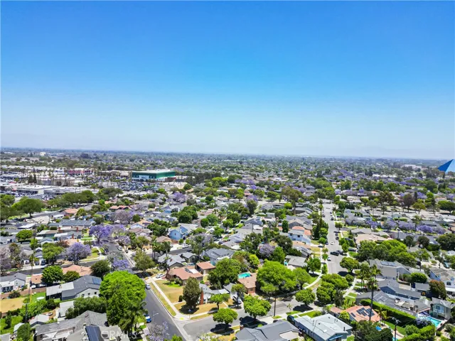 Drone Picture