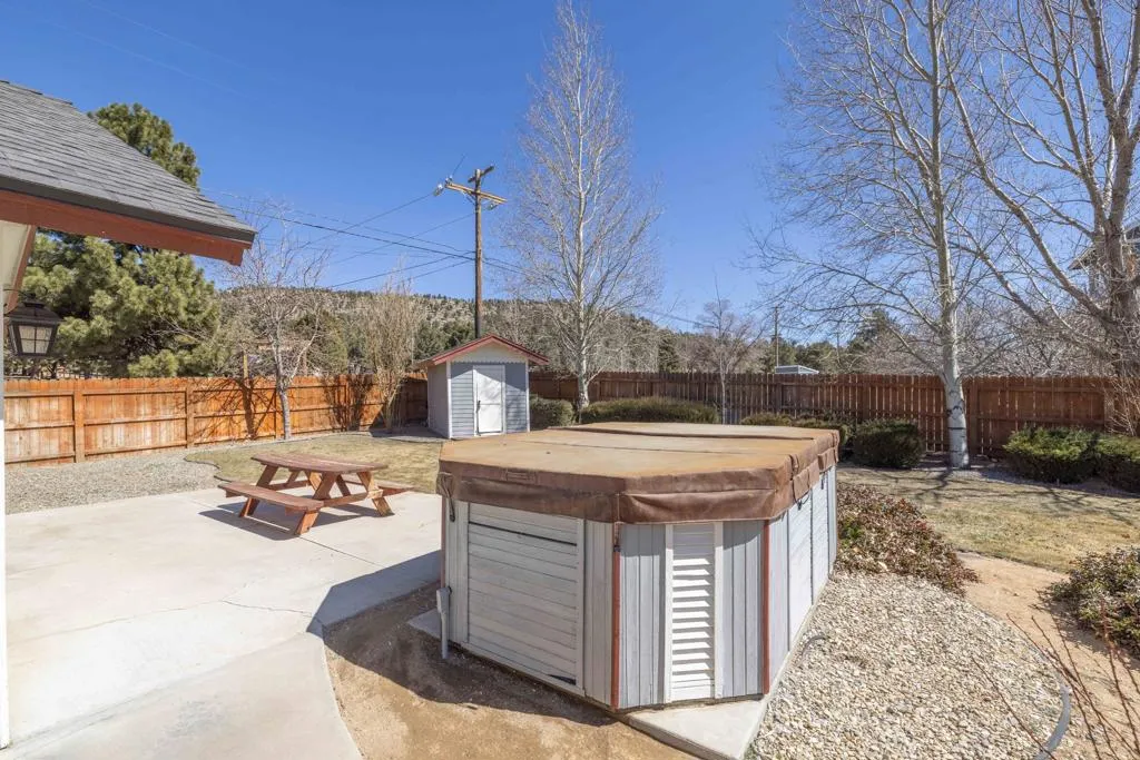 008_Back yard 1