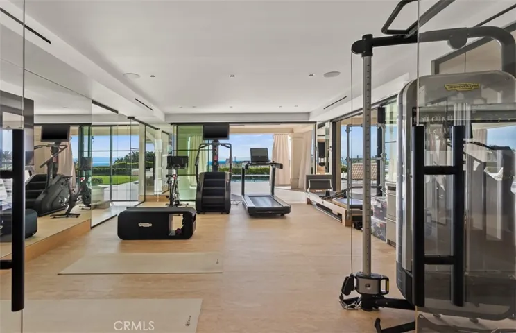 Walk out basement gym w/ motorized doors