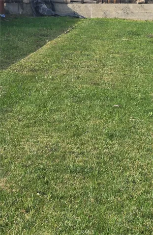 View of the backyard