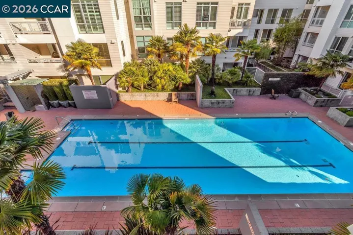 Real Lap Pool