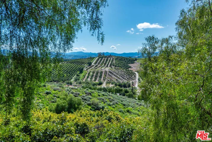 Orchard