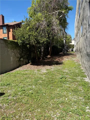 Back Grass Area