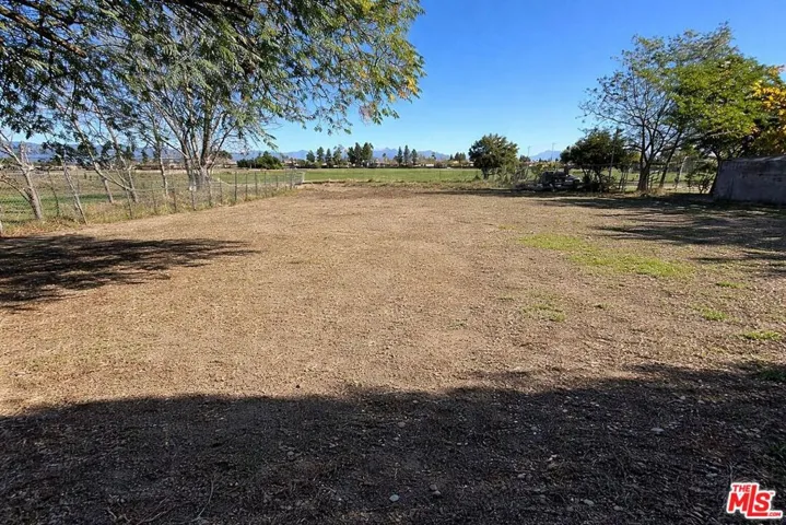 Backyard: AI Enhanced