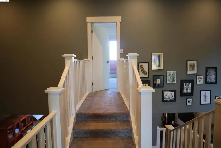 Staircase with carpet