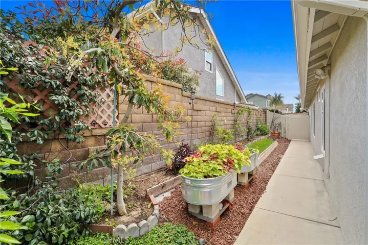Side yard