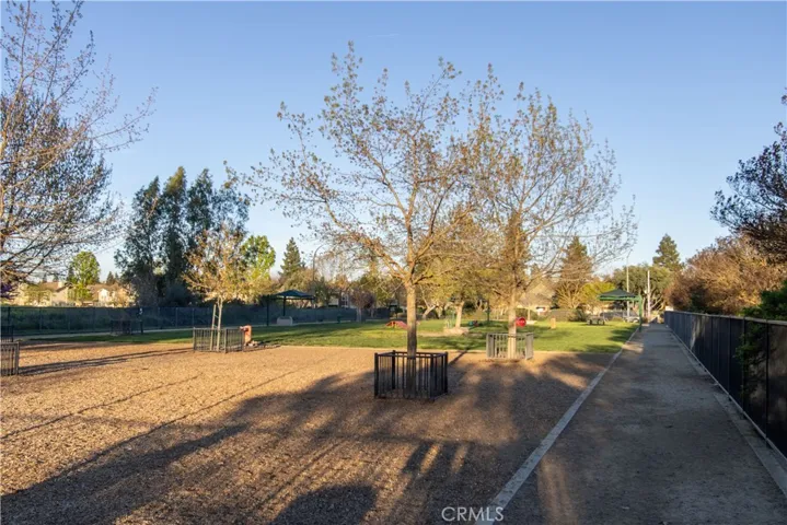 Dog Park