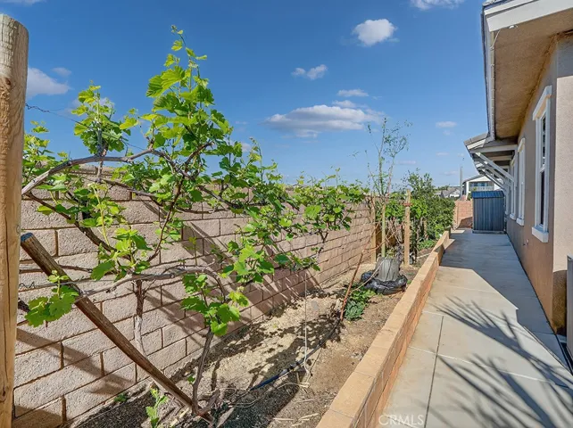 side yard