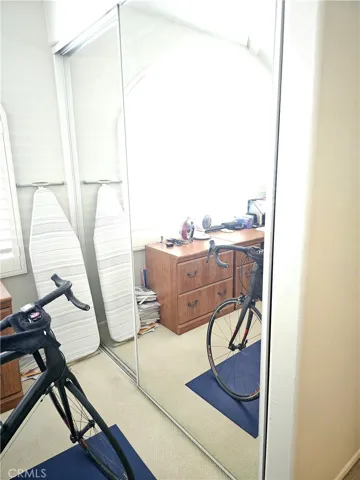 Mirrored Closet Doors