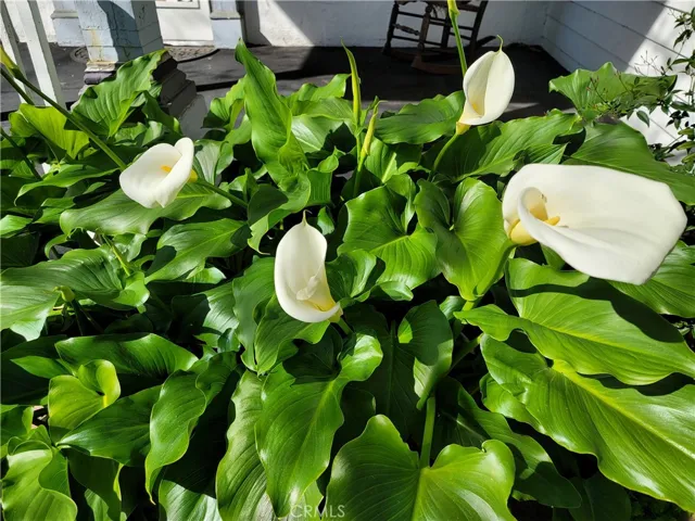 Exterior Landscaping