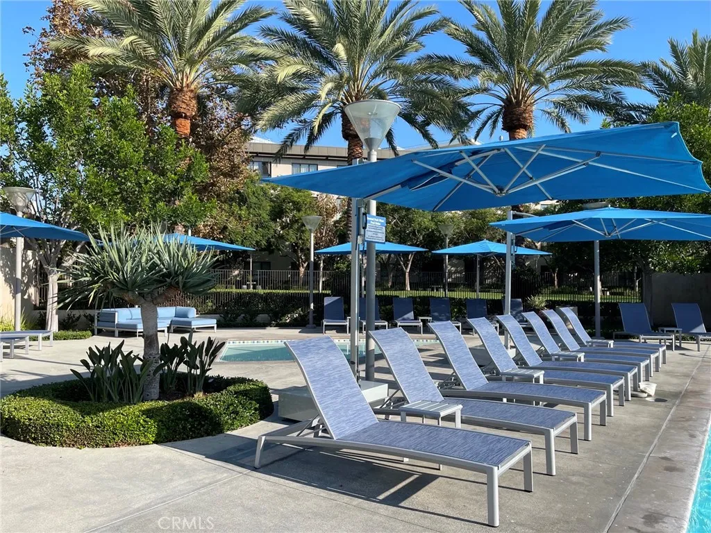 Belvedere Pool