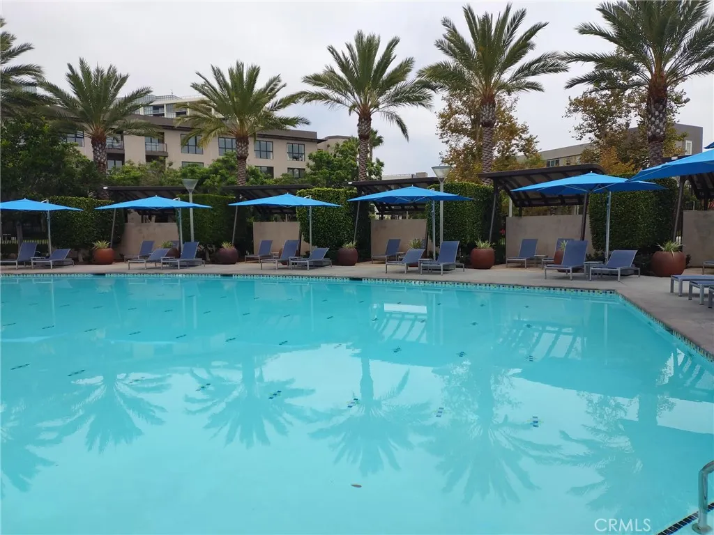 Belvedere Pool